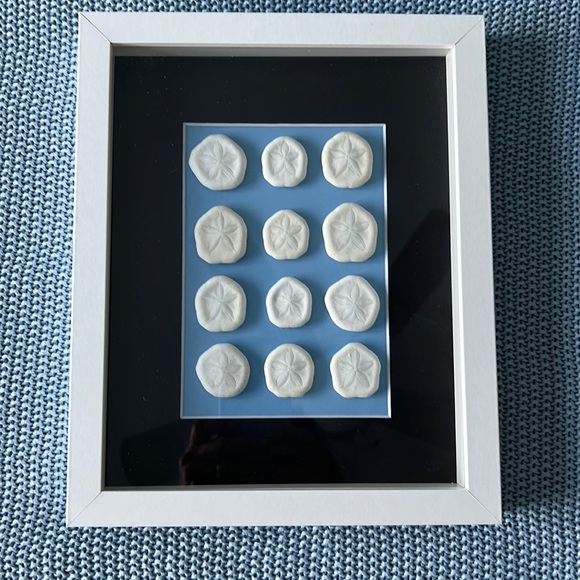 Other - Sea Buttons Art.